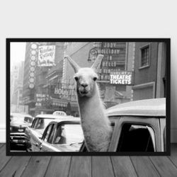 Lama in New York Vintage photo printable, Animal Vintage Photo Print, Black and White Photo