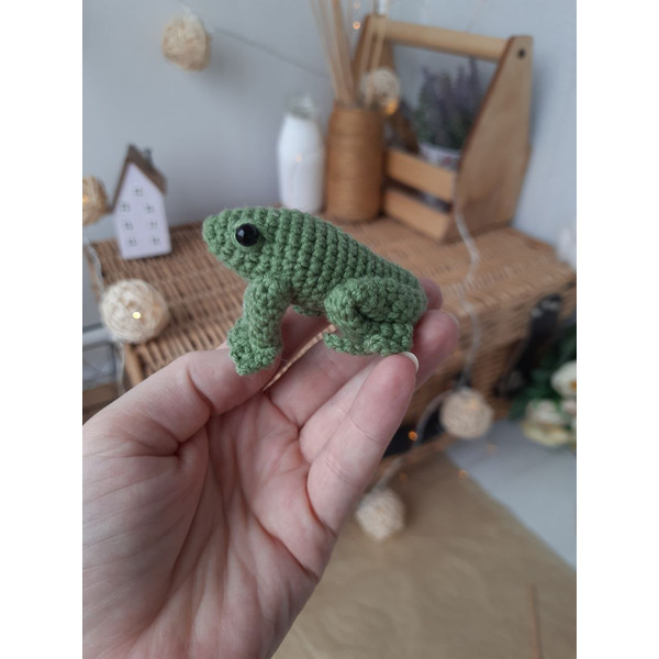 Amigurumi Tree Frogs Crochet Pattern 4.jpg