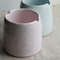 pink_and_blue_ceramic_water_brush_cup.JPG