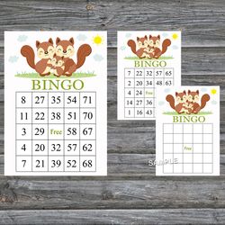 Squirrel bingo cards,Squirrel bingo game,Squirrel printable bingo cards,60 Bingo Cards,INSTANT DOWNLOAD--293