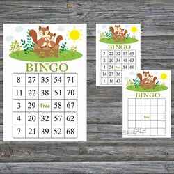 Cute Squirrel bingo cards,Cute Squirrel bingo game,Woodland animals bingo cards,60 Bingo Cards,INSTANT DOWNLOAD-292