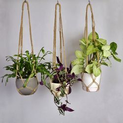 No tassel plant holder , Macrame Plant Hanger of natural jute