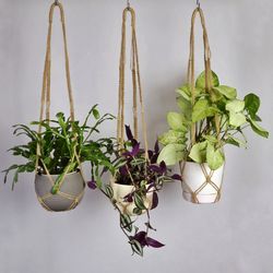no tassel plant holder , macrame plant hanger of natural jute