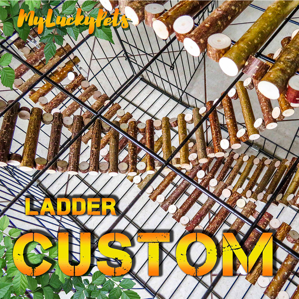 Custom Rat Ladder.jpg