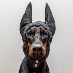 custom-made doberman winter hat dog ear warmer handmade pitbull hat custom doberman winter snood dog clothing fleece dog