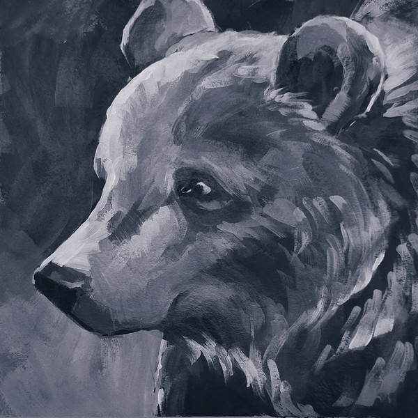 Медведь-голова-чб-01.jpg