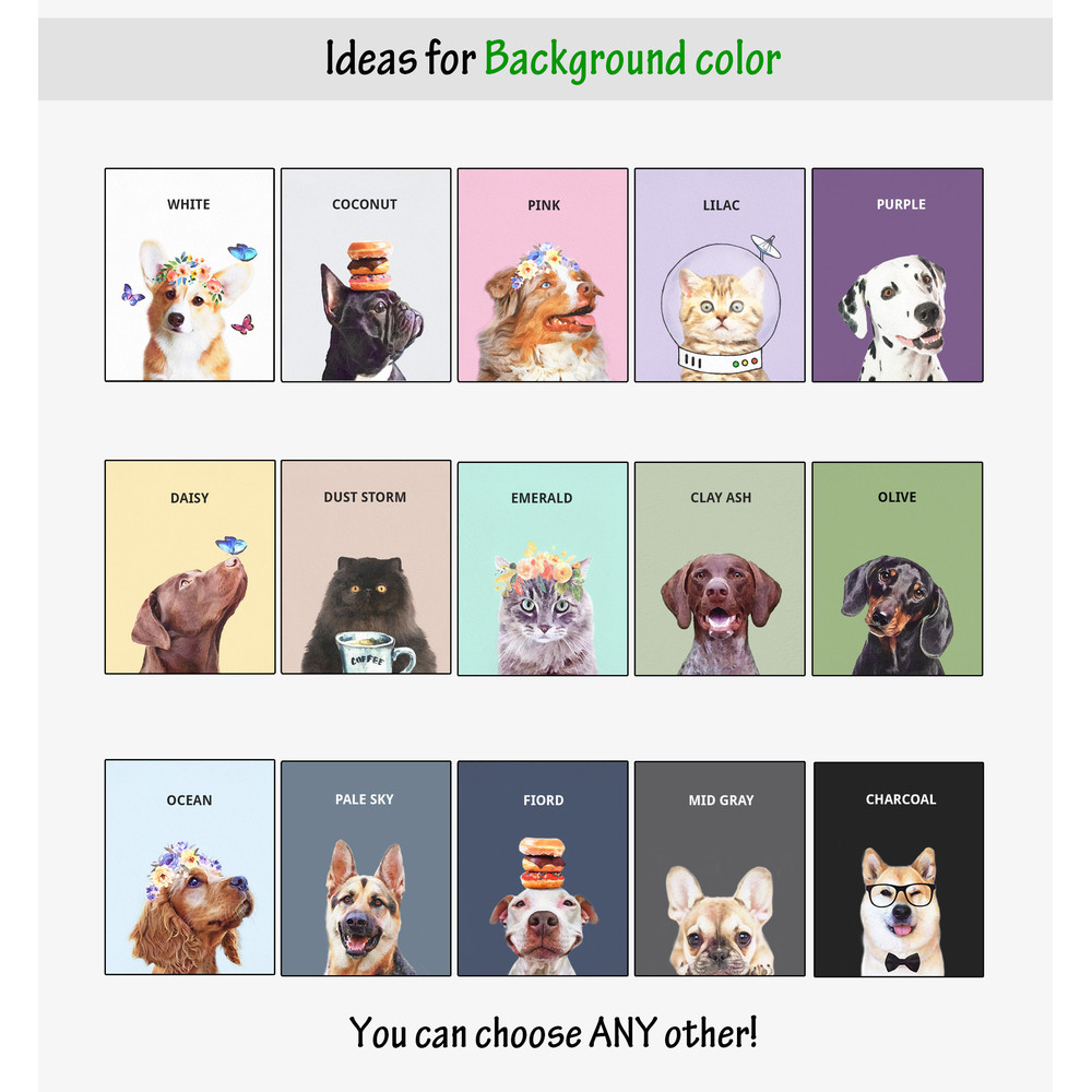 Все цвета фона 2022 NEW.jpg