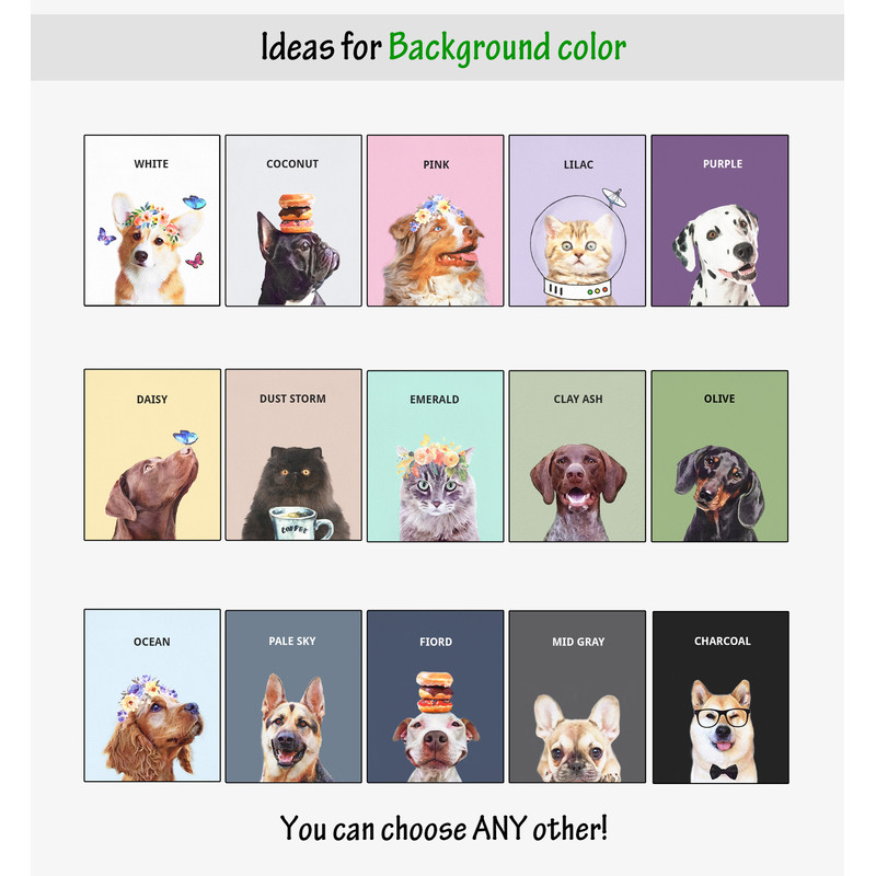 Все цвета фона 2022 NEW.jpg