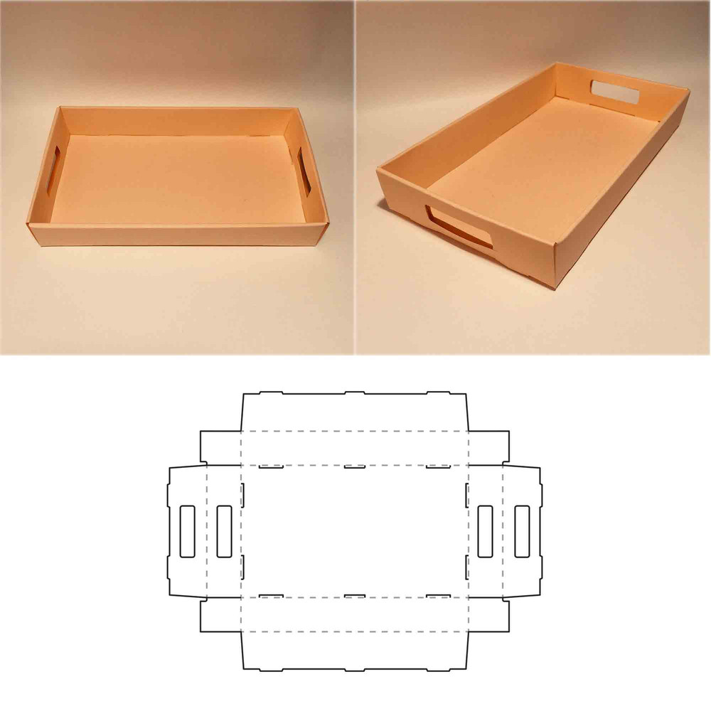 Food-tray.jpg