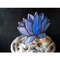 Plant-pot-glass-flower-suncatcher-Glass-lotos-lilie-plant-Stained-glass-flower-Garden-art-5