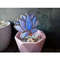 Plant-pot-glass-flower-suncatcher-Glass-lotos-lilie-plant-Stained-glass-flower-Garden-art-9