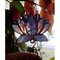 Plant-pot-glass-flower-suncatcher-Glass-lotos-lilie-plant-Stained-glass-flower-Garden-art-4