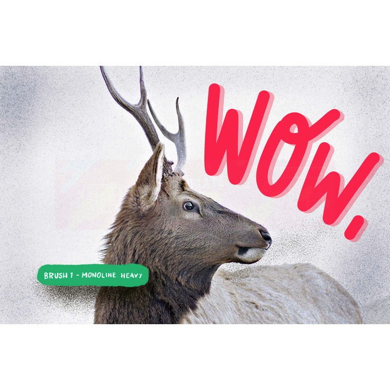 Procreate Lettering Brush Kit (2).jpg