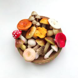 set 16 pc mushrooms - fairy garden and terrarium accessories - gardening gifts