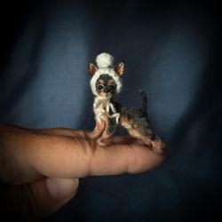 Miniature puppy with hat