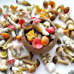 mushrooms - set 12 pc - gardening gifts - terrarium decor kit