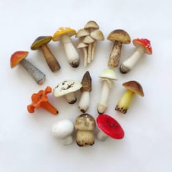fairy garden kit - set 14 pc mushrooms - fairy garden and terrarium accessories