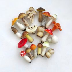 Set 20 pc realistic mushrooms - Terrarium decor kit - Plant Decor - Fairy garden