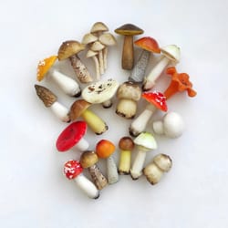 set 20 pc realistic mushrooms - terrarium decor kit - plant decor - fairy garden