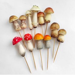 Terrarium kit - Magic mushroom Set 12 pc - Miniature garden - Fairy garden
