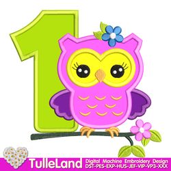 Owl with number One Birthday for girl Design Applique for Machine Embroidery