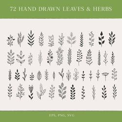 72 hand drawn herbs & leaves. SVG, PNG, EPS. Vector files.