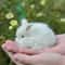 White rabbit figure. Needle felted rabbit. Realistic rabbit | Inspire ...