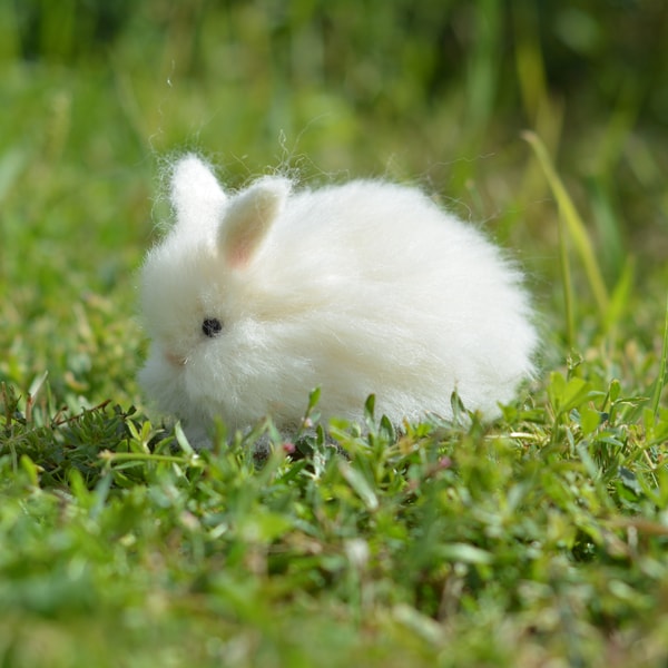 White rabbit figure. Needle felted rabbit. Realistic rabbit | Inspire ...