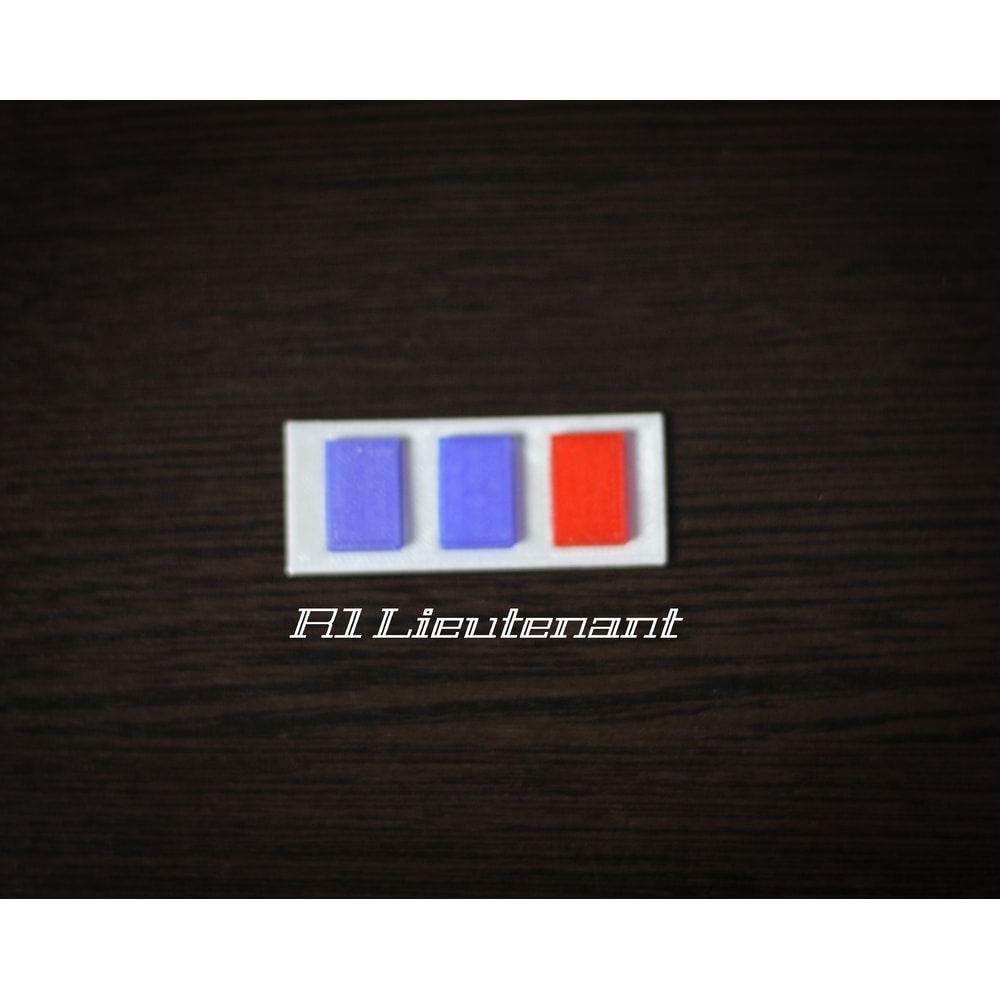 R1 Lieutenant.jpg