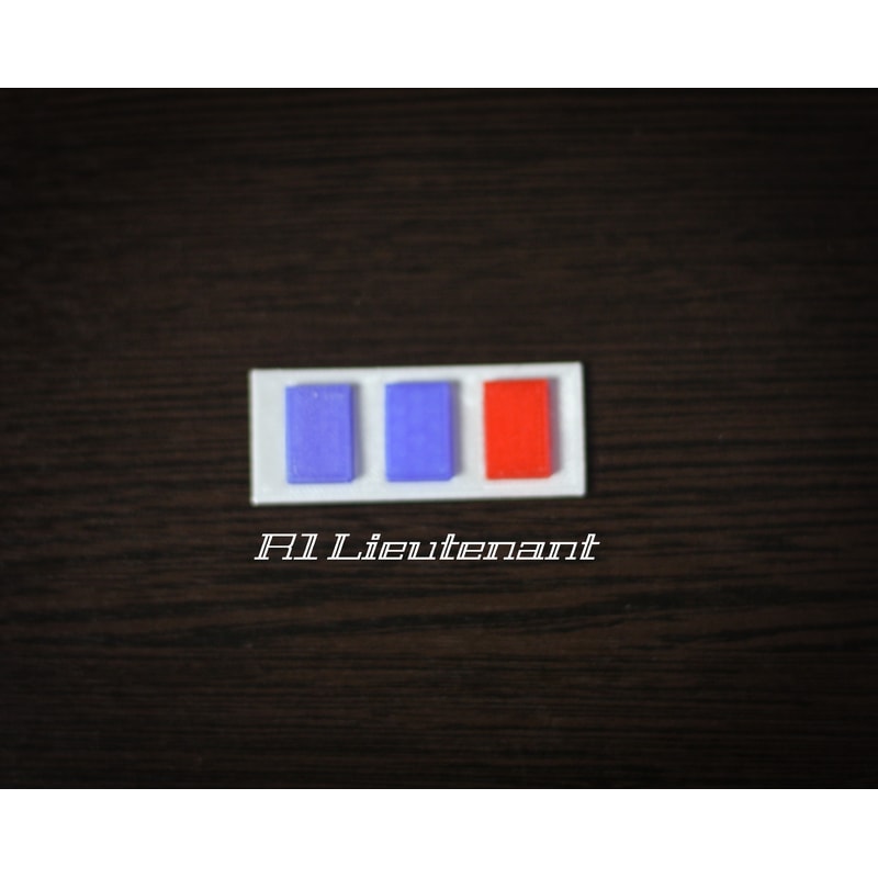 R1 Lieutenant.jpg