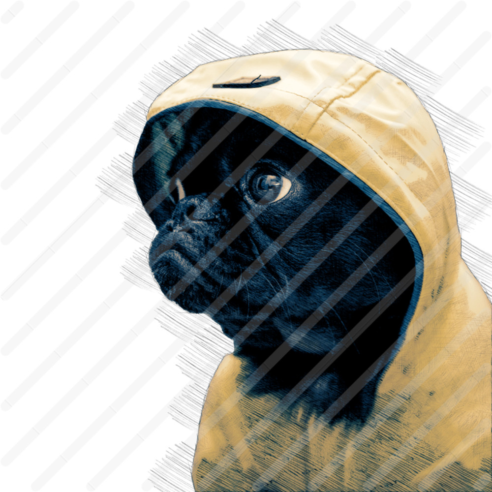 Дизайн без названия.png