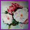peony oil painting 3.png