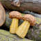 Mushrooms