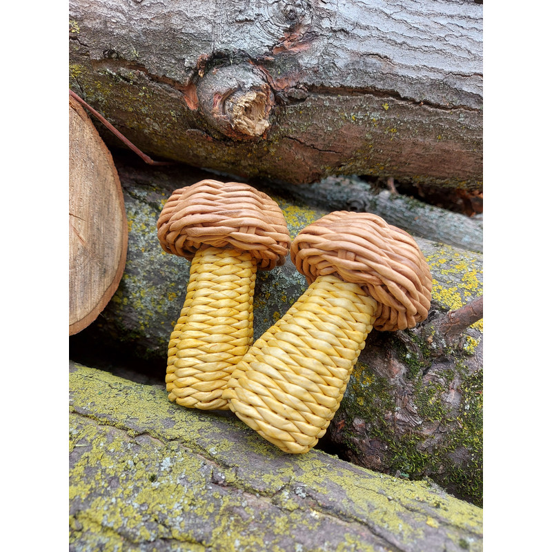Mushrooms