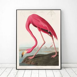 Vintage Flamingo Wall Art Printable, bird illustration Picture digital download