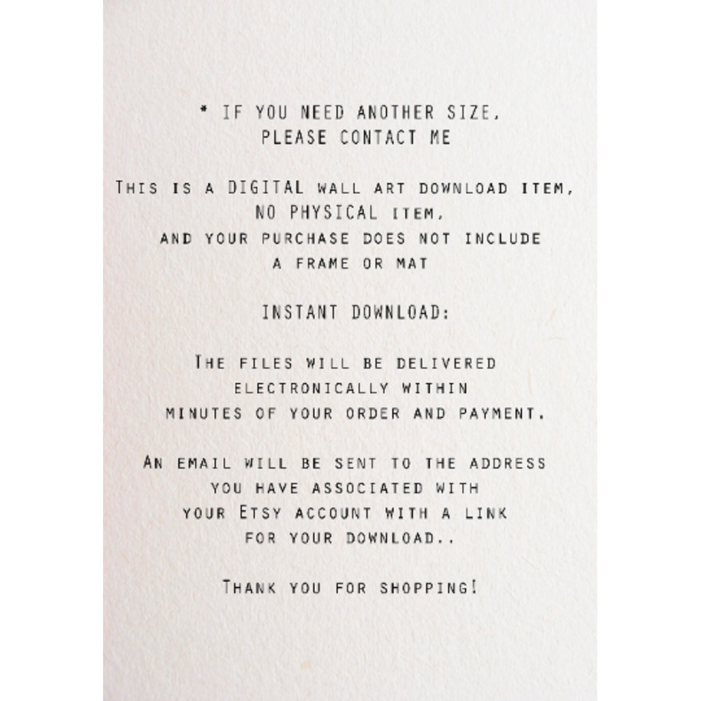 Без названия (2).png