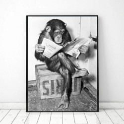 Monkey Reading Vintage photo printable, Vintage Photo Print Animal, Black and White Photo, Funny Photo Art Print, Wall A