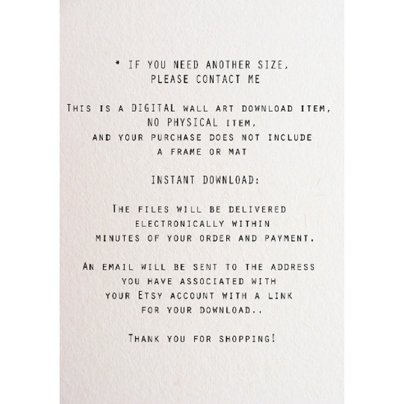 Без названия (2).png