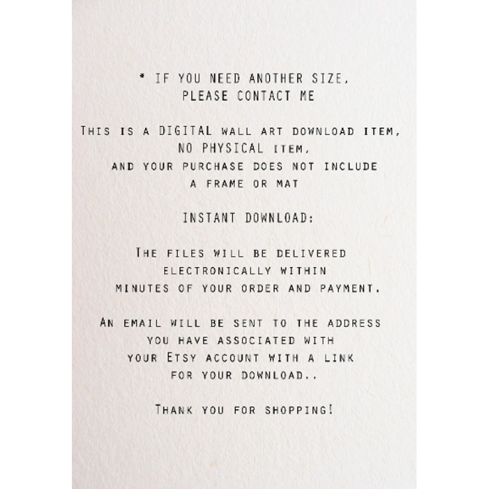 Без названия (2).png