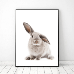 Easter Bunny wall art printable decor, Rabbit Portrait, Baby Bunny Wall Decor, Printable Bunny Art