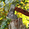Tomahawk Axe Integral Ball Hammer Hunting Axe is near mejpeg