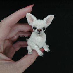 Chihuahua. White crocheted dog. Cute puppy. A miniature pet. Amigurumi. A puppy to order.A dog for memory. Souvenir chih