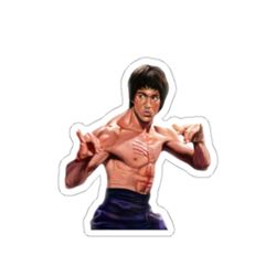Cool Vinyl Decal 5x5 inch Bruce Lee