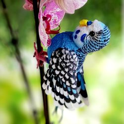 To order.Budgie,Collectible Toy,Parrot Toy
