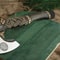where-to-buy-hand-forged-carbon-steel-hunting-axe.jpeg