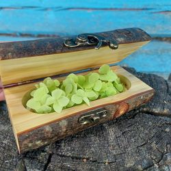 Wood box/casket for jewelry, long