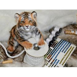 Video tutorial wild kitten english version. Tiger, cat, snow leopard, caracal