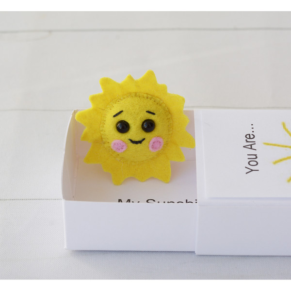 Sunshine. Hug in a box.4.jpeg