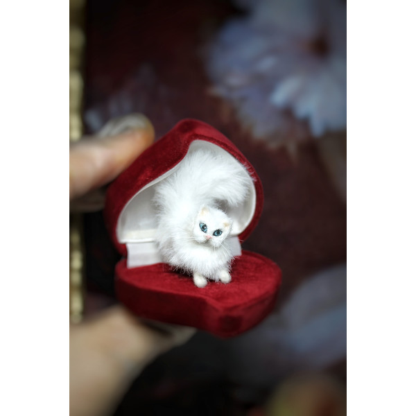 miniature white cat