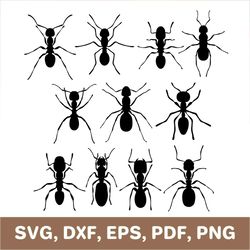 Ant svg, ants svg, ant dxf, ant template, ant png, ants png, ant cutout, ant cut file, ant laser cut, ant set, Cricut